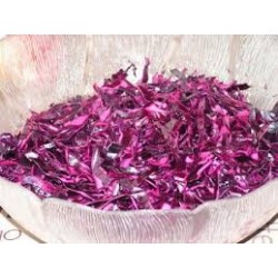 Choux rouge